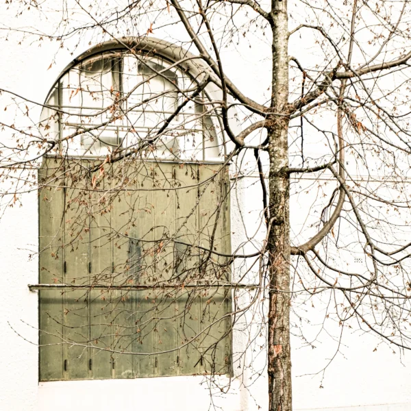 Nathalie F. · 17/01/2026 · 4160 x 4160 Cette photographie met en scène un **abri de chasse** en bois camouflé, partiellement dissimulé par les **branches nues d’un arbre** en hiver.La **composition** est simple et épurée, avec un **cadrage serré** centré sur l’abri. La **lumière** semble douce et naturelle, probablement en journée, créant des contrastes subtils. Les **couleurs dominantes** sont des tons neutres : gris, beige et marron, renforçant une ambiance **rustique et discrète**.Le style est **réaliste et minimaliste**, évoquant une **atmosphère calme et sauvage**, typique d’un paysage hivernal isolé.