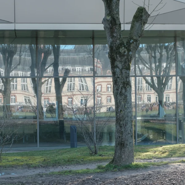 Nathalie F. · 17/01/2026 · 4160 x 4160 Cette photographie met en scène un arbre nu devant une structure moderne en verre et métal. Le sujet principal est l’arbre, encadré par une façade transparente reflétant des bâtiments anciens.La composition joue sur le contraste entre nature et architecture. Le cadrage serré isole l’arbre, tandis que la lumière naturelle, douce et diffuse, crée des jeux d’ombres et de transparence. Les couleurs dominantes sont les tons gris-bleutés du verre et des bâtiments, adoucis par les reflets et les touches de vert et de brun de l’arbre.Le style est épuré et contemporain, évoquant une ambiance calme et presque mélancolique.
