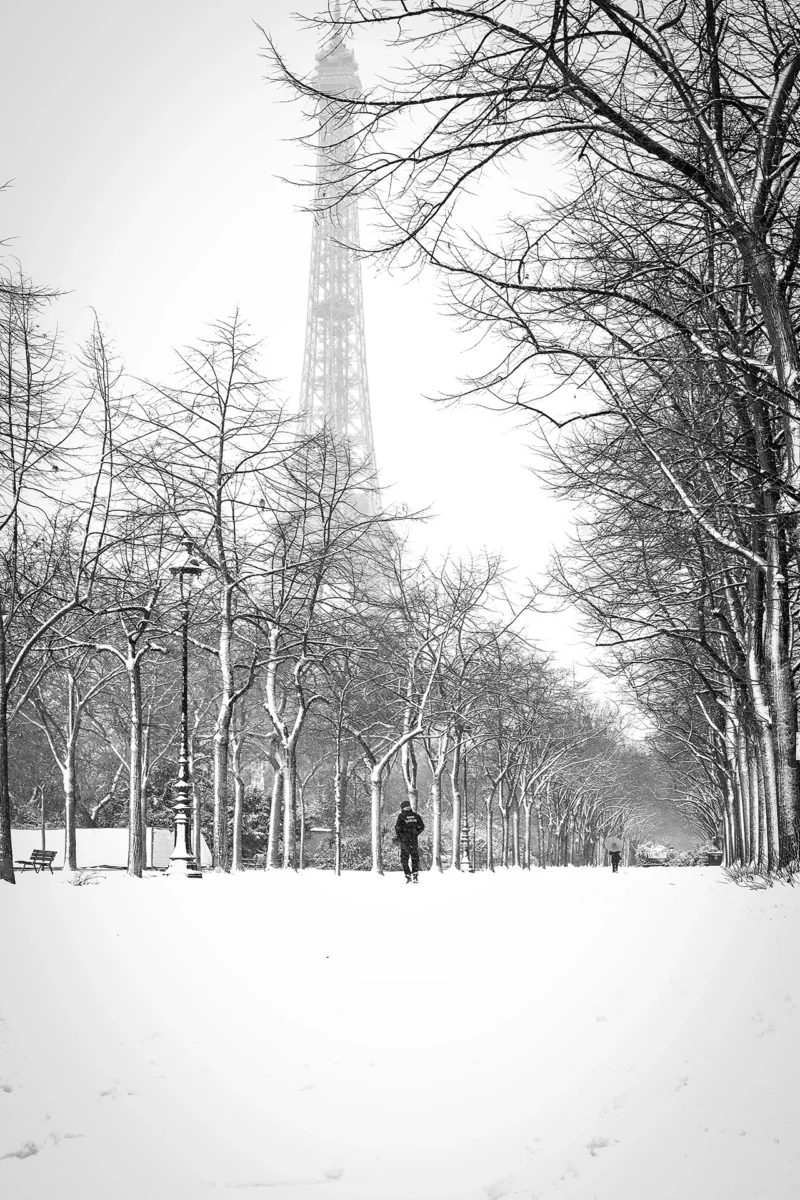 AnJo · 07/01/2026 · 1280 x 1920 Cette photographie en noir et blanc capture un **paysage hivernal**. Le **sujet principal** est un parc enneigé avec des arbres dénudés, dont certains sont recouverts de neige. Au centre, une silhouette floue suggère une personne marchant.La **composition** est symétrique, avec des arbres alignés de chaque côté, créant une perspective profonde. Le **cadrage** est serré, mettant en valeur les détails de la neige et des branches.La **lumière** est douce et diffuse, typique d’un jour hivernal couvert. Les **couleurs dominantes** sont les nuances de gris, renforçant l’ambiance froide et mélancolique.Le **style** est épuré et poétique, évoquant une **ambiance calme et contemplative**.