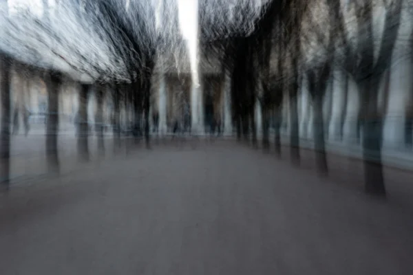 Jean-Marc · 03/01/2026 · 5920 x 3947 Cette photographie présente une allée floue bordée d’arbres dénudés, créant un effet de mouvement. Le sujet principal est suggéré par les formes indistinctes, évoquant une personne en marche. La composition repose sur des lignes parallèles qui convergent vers l’horizon, renforçant la profondeur.Le cadrage est serré, avec une perspective légèrement basse. La lumière est douce et diffuse, typique d’un jour couvert. Les couleurs dominantes sont des tons neutres : gris et blancs, avec des touches de noir et de brun. Le style, abstrait et dynamique, génère une ambiance mystérieuse et onirique, presque mélancolique.