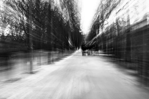 Jean-Marc · 03/01/2026 · 5598 x 3732 Cette photographie en noir et blanc capture une scène dynamique de mouvement. Le sujet principal semble être la sensation de vitesse, suggérée par les traînées floues des personnes et des éléments environnants. La composition est axée sur une allée centrale bordée d’arbres dénudés, encadrée par un cadrage serré.La lumière, douce et diffuse, accentue les contrastes sans être trop marquée. Les couleurs dominantes, bien que monochromes, varient du blanc au gris foncé. Le style, inspiré par la photographie artistique, crée une ambiance onirique et presque abstraite, évoquant vitesse et fluidité.