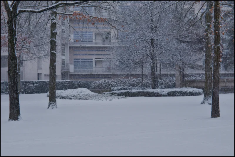 Frédéric · 05/01/2026 · 2510 x 1680 Cette photographie capture un paysage hivernal. Le sujet principal est un jardin enneigé avec des arbres dénudés et un bâtiment moderne en arrière-plan.La composition est équilibrée, avec des arbres à gauche et au centre, encadrant une allée de neige menant vers la maison. Le cadrage est large, offrant une vue générale du jardin.La lumière est douce et diffuse, typique d’un jour hivernal couvert. Les couleurs dominantes sont les blancs (neige) et les gris-beige, adoucis par des touches de vert pâle sur les conifères.L’ambiance est calme et sereine, évoquant la tranquillité de l’hiver. Le style est réaliste et naturel.