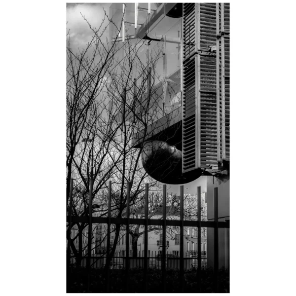 Marc Lavorata · 15/01/2026 · 1956 x 1956 Cette photographie en noir et blanc met en scène un **oiseau** en vol, sujet principal, capturé en contre-jour. La **composition** est épurée, avec un cadrage serré qui isole l'oiseau devant un fond urbain (bâtiments, arbres sans feuilles).La **lumière** est douce mais contrastée, accentuant les silhouettes et créant une ambiance dramatique. Les **couleurs dominantes** sont les nuances de gris, renforçant l’aspect monochrome et intemporel.Le **style** est documentaire et artistique, évoquant une **ambiance mélancolique et poétique**, mêlant nature et urbanité.