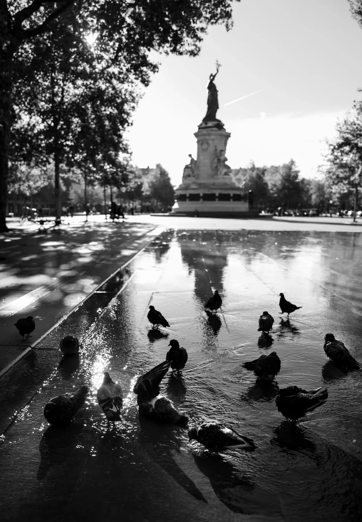 Pascal SC · 28/09/2025 · 1330 x 1920 Cette photographie en noir et blanc met en scène un groupe de pigeons sur une étendue d’eau calme, au premier plan. Au centre, une statue dorée et un monument imposant, probablement une cathédrale, se reflètent partiellement dans l’eau. La composition joue sur les contrastes entre le premier plan (pigeons et eau) et l’arrière-plan (monument). Le cadrage est serré sur les oiseaux, créant une ambiance paisible et contemplative. La lumière douce, probablement naturelle, accentue les ombres et les reflets. Le style est épuré, évoquant une atmosphère à la fois sereine et légèrement mélancolique.