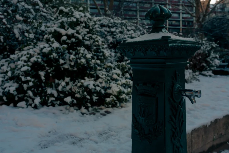 Don · 7008 x 4672 Cette photographie met en scène un **buste ou une statue** partiellement recouvert de neige, sujet principal.La **composition** est simple, centrée sur ce monument, avec un arrière-plan flou de végétation enneigée. Le **cadrage** est serré, isolant le sujet.La **lumière** est tamisée, créant une ambiance nocturne ou crépusculaire. Les **couleurs dominantes** sont les tons froids : blanc de la neige, gris bleuté et noir.Le **style** est réaliste et sobre, évoquant une **ambiance calme et mélancolique**, renforcée par la neige et l’obscurité.