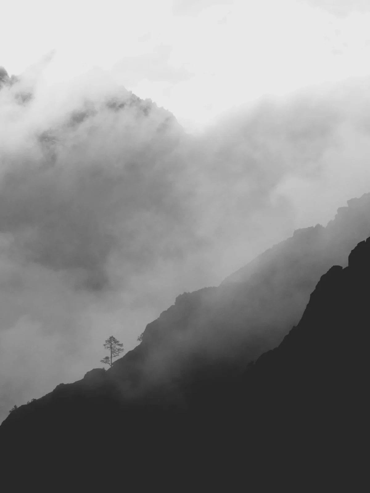 Daniel · 30/04/2011 · 1836 x 2448 Cette photographie en noir et blanc met en scène une montagne partiellement enveloppée dans les nuages. Le sujet principal est une structure, probablement un pylône ou une tour, émergent des brumes. La composition joue sur les contrastes entre obscurité et lumière, créant une atmosphère mystérieuse. Le cadrage serré isole la scène, accentuant le sentiment de solitude et de grandeur.La lumière, douce et diffuse, traverse les nuages, ajoutant une touche dramatique. Les couleurs dominantes, bien que limitées au noir et blanc, exploitent les nuances de gris pour renforcer l’ambiance onirique et contemplative. Le style est épuré et poétique.