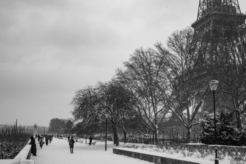 Taunia · 2500 x 1667 Cette photographie en noir et blanc met en scène l’Eiffel Tower en arrière-plan, partiellement visible à travers des arbres enneigés. Le sujet principal est une allée bordée de platanes dénudés, recouverts de neige, menant vers le monument.La composition est symétrique, avec une perspective linéaire qui guide le regard vers l’Eiffel Tower. Le cadrage est large, capturant une vue panoramique du parc. La lumière est douce et diffuse, typique d’un jour hivernal et couvert. Les tons dominants sont les gris et noirs, accentués par la neige, créant une ambiance calme et mélancolique. Le style est documentaire et poétique, évoquant la sérénité d’un paysage urbain en hiver.