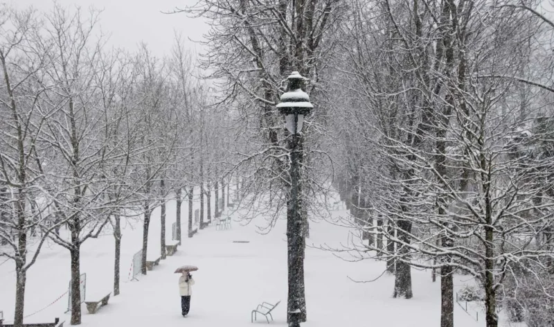 Franck T. · 06/01/2026 · 1400 x 826 Cette photographie capture une allée enneigée bordée d’arbres dénudés. Le sujet principal est une personne en mouvement, vêtue d’un manteau clair, marchant sous la neige.La composition est symétrique, avec une perspective centrale menant vers l’horizon. Le cadrage est large, incluant des lampadaires et des branches chargées de neige. La lumière est douce et diffuse, typique d’un jour hivernal couvert.Les couleurs dominantes sont les tons blancs et gris, avec des touches de noir. Le style est réaliste et sobre, évoquant une ambiance calme et mélancolique, presque onirique.