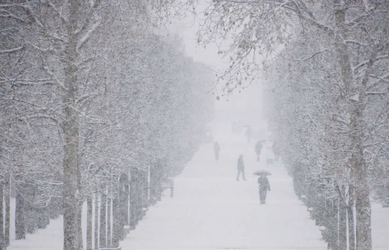 Franck T. · 06/01/2026 · 1400 x 897 Cette photographie capture une allée enneigée bordée d’arbres dénudés. Le sujet principal est l’atmosphère hivernale, renforcée par la neige tombante et les silhouettes floues de promeneurs.La composition est symétrique, avec une perspective centrale menant vers l’horizon. Le cadrage serré et la profondeur de champ réduite créent un effet immersif. La lumière, douce et diffuse, atténue les contrastes, tandis que les couleurs dominantes sont les blancs et gris froids, typiques d’un paysage hivernal.Le style est épuré et poétique, évoquant une ambiance paisible et presque onirique.