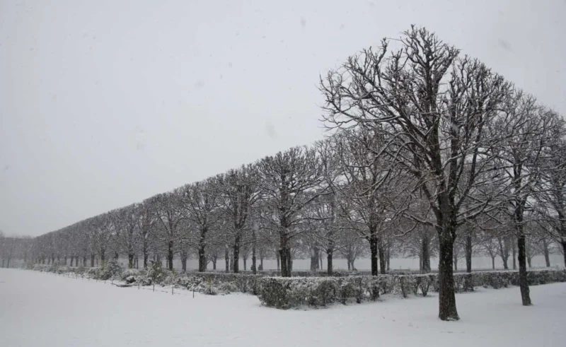 Franck T. · 06/01/2026 · 1400 x 859 Cette photographie capture un paysage hivernal enneigé. Le sujet principal est une allée bordée d’arbres dénudés, alignés symétriquement, recouverts de neige.La composition est équilibrée, avec une perspective linéaire menant vers l’horizon. Le cadrage est large, englobant une étendue plane et des arbres à perte de vue. La lumière, douce et diffuse, crée une ambiance calme et froide. Les couleurs dominantes sont les blancs de la neige et les gris des troncs, avec des touches de noir pour les branches. Le style est réaliste et épuré, évoquant une sérénité mélancolique et une nature endormie.