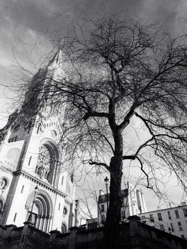 Daniel · 2260 x 3014 Cette photographie met en scène une cathédrale gothique comme sujet principal. La composition joue sur le contraste entre l’architecture imposante et un arbre nu, dénudé, positionné devant. Le cadrage en contre-plongée accentue la verticalité et la grandeur de la structure.En noir et blanc, l’image utilise une lumière diffuse, créant des contrastes marqués entre ombres et lumières. Les tons dominants varient du blanc pur aux gris profonds, renforçant une ambiance à la fois solennelle et mélancolique. Le style est sobre et dramatique, évoquant une atmosphère historique et contemplative.