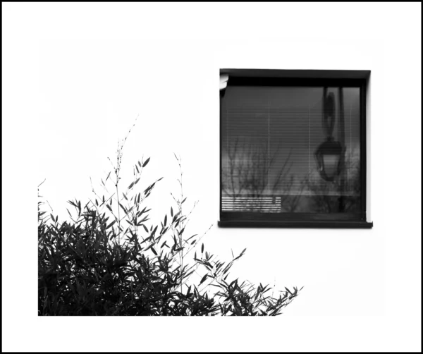 Thierry · 21/02/2026 · 4680 x 3912 Cette photographie en noir et blanc met en scène un **sujet principal flou**, probablement une personne ou un objet à travers une vitre, encadré par un **cadre rectangulaire sombre**. La **composition** oppose ce cadre précis à un **buisson aux branches sinueuses** en bas à gauche, créant un contraste entre ordre et nature.Le **cadrage** est serré, centré sur ces deux éléments. La **lumière** est douce, avec des ombres marquées, renforçant les contrastes. Les **couleurs dominantes** sont les nuances de gris, typiques du noir et blanc.Le **style** est épuré et minimaliste, évoquant une **ambiance mystérieuse et contemplative**.