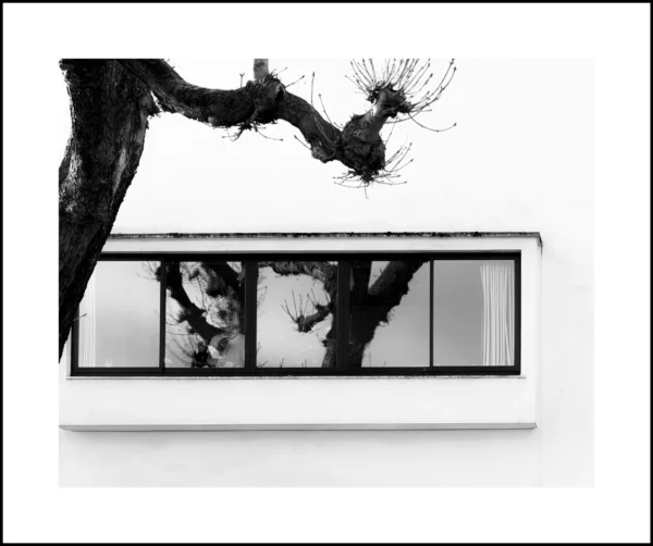 Thierry · 21/02/2026 · 4680 x 3912 Cette photographie met en scène un arbre aux branches tortueuses reflété dans une fenêtre moderne et rectiligne. Le sujet principal est ce contraste entre la nature organique et l’architecture géométrique.La composition joue sur les lignes brisées de l’arbre et les angles droits de la fenêtre. Le cadrage est serré, centré sur ces éléments.La lumière est douce, créant des ombres nettes et des contrastes marqués. Les couleurs dominantes sont les tons de gris et noir, typiques d’un style photographique minimaliste et monochrome.L’ambiance est à la fois contemplative et épurée, évoquant une réflexion sur la dualité nature/artifice.