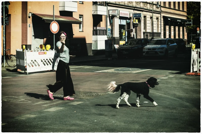 Cette photographie capture une femme marchant avec deux chiens dans une rue urbaine. Le sujet principal est la femme, vêtue simplement, entourée des animaux. La composition est dynamique, avec un cadrage serré sur les sujets en mouvement.La lumière, douce et légèrement dorée, suggère un moment en fin de journée. Les couleurs dominantes sont les tons neutres (gris, beige) avec des touches de rouge et de noir. Le style est réaliste et documentaire, évoquant une ambiance calme et quotidienne, presque mélancolique.