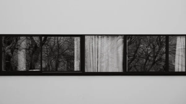 Jean-Marc · 21/02/2026 · 5068 x 2851 Cette photographie présente une série de vues en noir et blanc d’un paysage forestier à travers une fenêtre ou un cadre étroit. Le sujet principal est la nature hivernale, avec des arbres dénudés et des troncs visibles.La composition est linéaire et répétitive, divisée en plusieurs sections horizontales. Le cadrage est serré, mettant en valeur les détails des branches et du ciel. La lumière est douce, créant des contrastes subtils entre ombres et clartés. Les couleurs dominantes sont les nuances de gris, typiques du noir et blanc.Le style est épuré et minimaliste, évoquant une ambiance calme et contemplative, presque mélancolique.