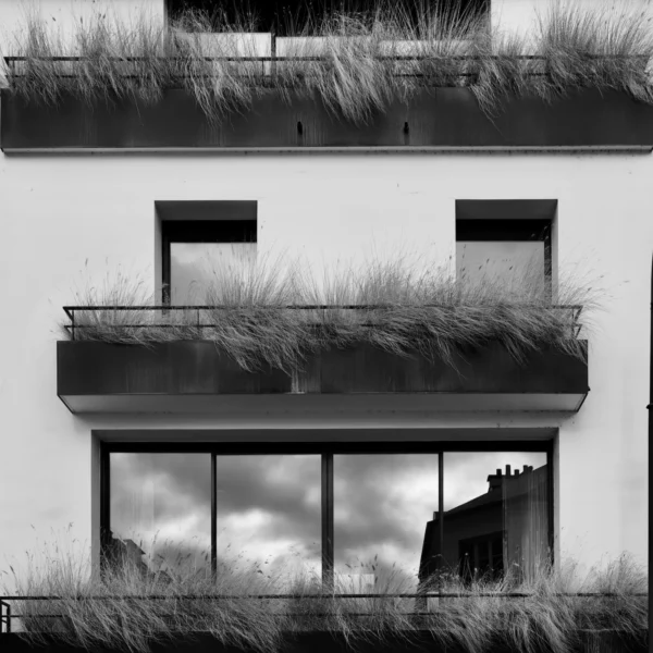 Xavier · 1600 x 1600 Cette photographie en noir et blanc met en scène une façade d’immeuble moderne avec des balcons végétalisés. Le sujet principal est l’architecture minimaliste et les plantes grimpantes qui envahissent les balcons.La composition est symétrique, avec des fenêtres et balcons alignés verticalement. Le cadrage est serré, centré sur la partie supérieure du bâtiment. La lumière, douce et diffuse, accentue les contrastes entre ombres et clartés.Les couleurs dominantes sont les nuances de gris, renforçant l’aspect épuré et contemporain. Le style est épuré et architectural, créant une ambiance à la fois moderne et organique, presque mélancolique.