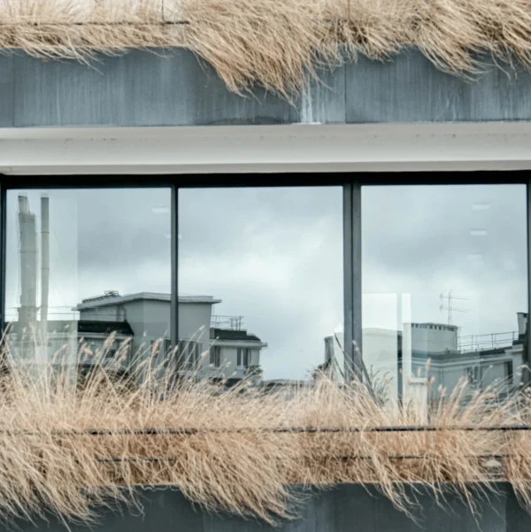 Nathalie F. · 21/02/2026 · 3291 x 3295 Cette photographie met en scène une façade moderne avec une grande fenêtre reflétant des bâtiments urbains. Le sujet principal est l’association entre la nature et l’architecture, symbolisée par des touffes d’herbe sèche placées devant la vitre, encadrant la scène.La composition joue sur les contrastes entre l’artifice et l’organique. Le cadrage serré et horizontal accentue cette dualité. La lumière est douce et diffuse, créant une ambiance mélancolique et contemplative. Les couleurs dominantes sont les tons neutres (gris, beige) avec des touches de vert pâle et de blanc.Le style est épuré et minimaliste, évoquant une atmosphère à la fois moderne et nostalgique.