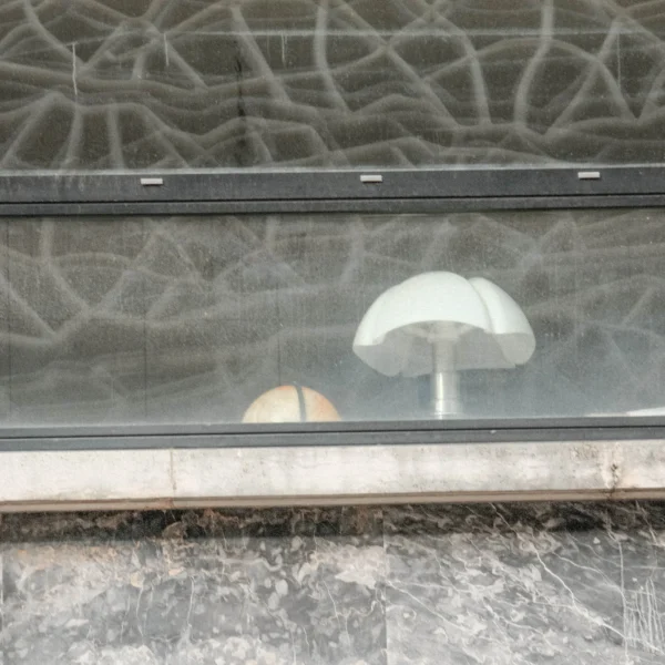 Nathalie F. · 21/02/2026 · 4160 x 4160 Cette photographie met en scène un **parapluie blanc** comme sujet principal, reflété sur une **vitrine**. La composition joue sur les reflets et les motifs abstraits derrière la vitre, créant un effet visuel complexe. Le cadrage est serré, centré sur le parapluie et son reflet, avec une bordure horizontale nette.La lumière semble naturelle, douce et diffuse, adoucissant les contrastes. Les **couleurs dominantes** sont des tons froids (gris, blanc) avec des nuances bleutées et des reflets métalliques. Le style est **minimaliste et urbain**, évoquant une ambiance moderne et légèrement mélancolique.
