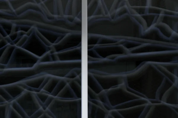 Vincent · 21/02/2026 · 3389 x 2260 Cette photographie montre une structure filamenteuse et complexe, probablement un tissu ou un matériau vu au microscope électronique.Le sujet principal est cette texture entrelacée et dense. La composition est divisée en deux parties identiques, symétriques. Le cadrage est serré, mettant en valeur les détails fins. La lumière, bien que faible, met en relief les contours des filaments, créant un effet presque sculptural. Les couleurs dominantes sont des teintes sombres, allant du gris anthracite au noir, renforçant une ambiance mystérieuse et abstraite. Le style est minimaliste et scientifique.