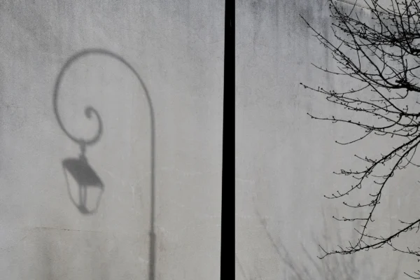 Vincent · 21/02/2026 · 4500 x 2999 Cette photographie capture une ombre projetée d’un lampadaire mural sur un mur blanc. Le sujet principal est cette silhouette élégante et stylisée, contrastant avec les branches nues d’un arbre à droite.La composition est divisée en deux parties, jouant sur la symétrie et le vide. Le cadrage serré isole les éléments, créant une ambiance minimaliste. La lumière, douce et naturelle, semble provenir d’une source latérale, accentuant les contrastes.Les couleurs dominantes sont le blanc du mur et les tons gris-beige des ombres et branches. Le style est épuré et presque abstrait, évoquant une atmosphère mélancolique et poétique.
