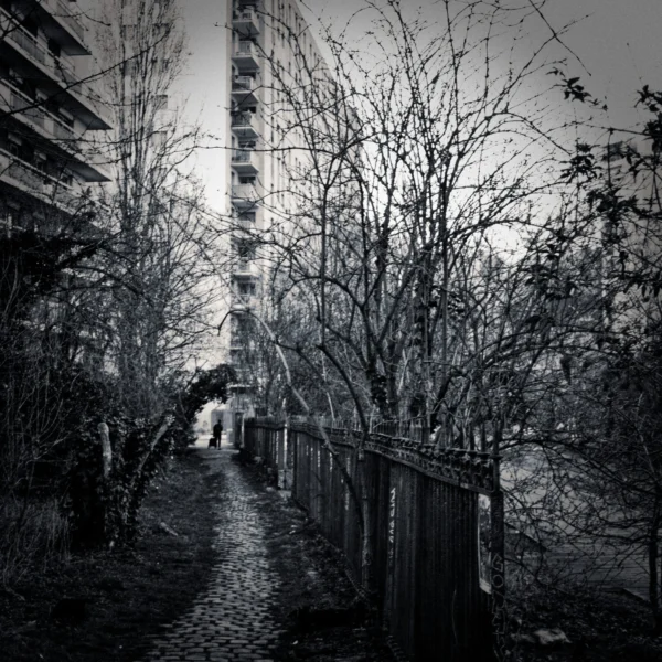 Cyrille · 2026 x 2026 Cette photographie en noir et blanc capture une allée étroite bordée d'arbres dénudés, menant vers un immeuble en arrière-plan. Le sujet principal est cette allée sinueuse et les jeux d'ombres qu'elle crée. La composition est symétrique et guidée par les lignes convergentes des branches et du chemin.Le cadrage est serré, accentuant la profondeur et la perspective. La lumière, tamisée et contrastée, souligne les textures et les ombres, renforçant une ambiance mystérieuse et mélancolique. Les tons dominants sont les gris profonds et les noirs, typiques d'un style photographique dramatique et introspectif. L'ambiance est à la fois solitaire et poétique.