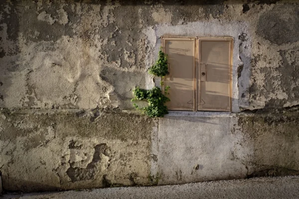 Cyrille · 2026 x 1347 Cette photographie met en scène une petite porte en bois encastrée dans un mur vieilli et fissuré. Le sujet principal est cette porte, légèrement entrouverte, avec une plante grimpante à côté.La composition est épurée, centrée sur la porte et son environnement immédiat. Le cadrage est serré, mettant en valeur les textures du mur et les détails de la porte.La lumière semble naturelle, douce et tamisée, créant des ombres subtiles. Les couleurs dominantes sont les tons gris-beige du mur, avec des touches de vert de la plante et de bois naturel.Le style est réaliste et documentaire, évoquant une ambiance rustique et mélancolique.