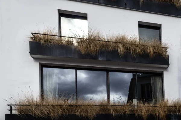 Muriel · 2048 x 1365 Cette photographie met en scène une façade de bâtiment moderne avec une grande fenêtre baillée entourée de végétation sèche. Le sujet principal est l’équilibre entre architecture contemporaine et nature envahissante.La composition est symétrique, avec un cadrage serré sur la fenêtre et le balcon. La lumière, naturelle et diffuse, crée des contrastes doux entre ombres et clartés. Les couleurs dominantes sont les tons neutres (blanc, gris) et les bruns sépia de la végétation desséchée.Le style est épuré et minimaliste, évoquant une ambiance à la fois moderne et mélancolique, renforcée par le ciel nuageux.
