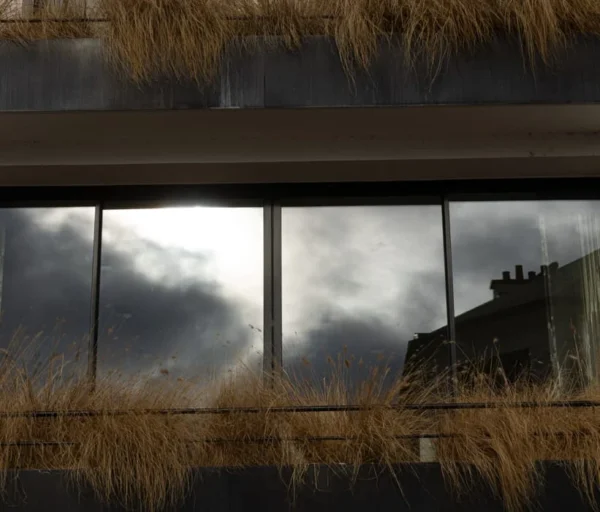 Laurence · 821 x 700 Cette photographie met en scène un bâtiment moderne avec de grandes baies vitrées reflétant un ciel nuageux et menaçant. Le sujet principal est cette réflexion, encadrée par des tiges sèches en premier plan, ajoutant un contraste organique/minéral.La composition joue sur les lignes horizontales et verticales, renforçant la géométrie du bâtiment. Le cadrage serré isole ces éléments, créant une ambiance contemplative. La lumière est tamisée, avec des tons gris et sombres dominants, accentuant une atmosphère mélancolique et dramatique. Le style est épuré et minimaliste, typique de la photographie contemporaine.