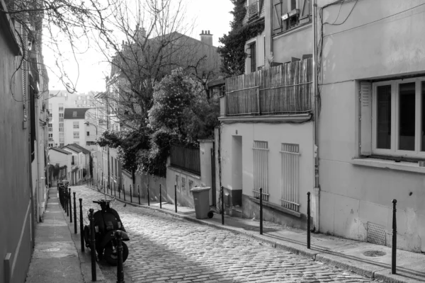 Cédric · 2048 x 1365 Cette photographie en noir et blanc capture une rue pavée étroite et pentue, typique des quartiers anciens. Le sujet principal est une personne à vélo descendant la rue. La composition met en valeur les bâtiments serrés, aux façades simples et vieillissantes, bordés de balcons en fer forgé. Le cadrage inclut une partie des arbres et des maisons en hauteur, créant une perspective dynamique.La lumière, douce et diffuse, accentue les contrastes sans être trop forte. Les tons dominants sont les gris et noirs, avec quelques touches de blanc. Le style est documentaire et intemporel, évoquant une ambiance calme et mélancolique, presque cinématographique.