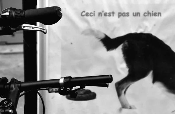 Franck T. · 1400 x 914 Cette photographie met en scène un chat en mouvement, sujet principal, filmé en silhouette. La composition joue sur le contraste entre l’animal et le texte en surimpression, *« Ceci n'est pas un chien »*, évoquant une ironie ou une réflexion sur la perception.Le cadrage est serré, centré sur le chat et l’objectif d’un appareil photo, suggérant une mise en abyme. La lumière est douce, créant des ombres marquées, typiques d’un éclairage naturel tamisé. Les couleurs dominantes sont les tons de gris, renforçant l’aspect monochrome et dramatique.Le style, sobre et artistique, rappelle le surréalisme ou une approche conceptuelle, instillant une ambiance énigmatique et poétique.