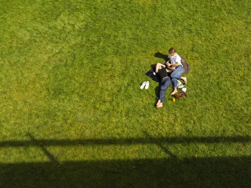 Coulée Verte Cette photographie capture deux joueurs de football américain en action, vus d’en haut. Le sujet principal est un joueur en blanc, plaqué au sol par un adversaire en bleu.La composition est dynamique, centrée sur l’action. Le cadrage aérien offre une perspective unique, mettant en valeur les mouvements et la tension du moment. La lumière naturelle éclaire uniformément la scène, créant des ombres nettes mais peu marquées.Les couleurs dominantes sont les verts du terrain et les teintes vives des tenues des joueurs (blanc, bleu, rouge). Le style est sportif et documentaire, transmettant une ambiance intense et compétitive.