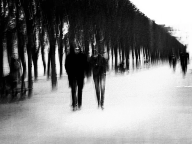 Palais-Royal Cette photographie en noir et blanc capture des silhouettes floues en mouvement. Le sujet principal semble être deux personnes marchant clairement au premier plan, tandis que les autres, plus éloignées, sont floutées, créant un effet dynamique.La composition utilise une perspective longitudinale, avec une allée bordée d’arbres. Le cadrage serré et la lumière naturelle, probablement tamisée, renforcent l’ambiance contemplative et mélancolique. Les tons clairs et foncés, typiques du noir et blanc, accentuent les contrastes et les jeux d’ombres. Le style est artistique et expressif, évoquant une sensation de flux et de passage du temps.