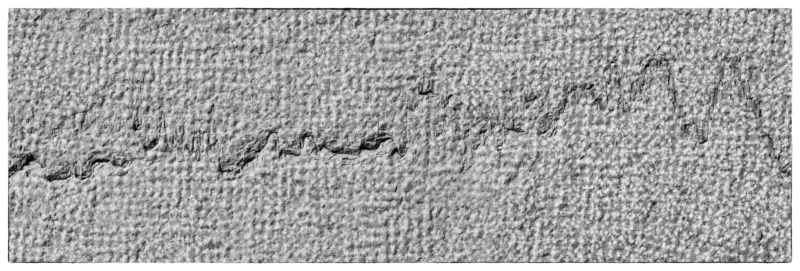 Thierry · 15/03/2026 · 3840 x 1299 Cette photographie montre une surface texturée, probablement un mur ou un sol en stuc ou en plâtre usé. Le sujet principal semble être les fines fissures et les traces de dégradation qui parcourent la surface.La composition est épurée et horizontale, avec un cadrage serré. La lumière, douce et uniforme, met en valeur les détails sans créer d'ombres marquées. Les couleurs dominantes sont des tons neutres, principalement des gris-beige et blancs cassés.Le style est minimaliste et documentaire, évoquant une ambiance ancienne et légèrement mélancolique, rappelant le passage du temps.