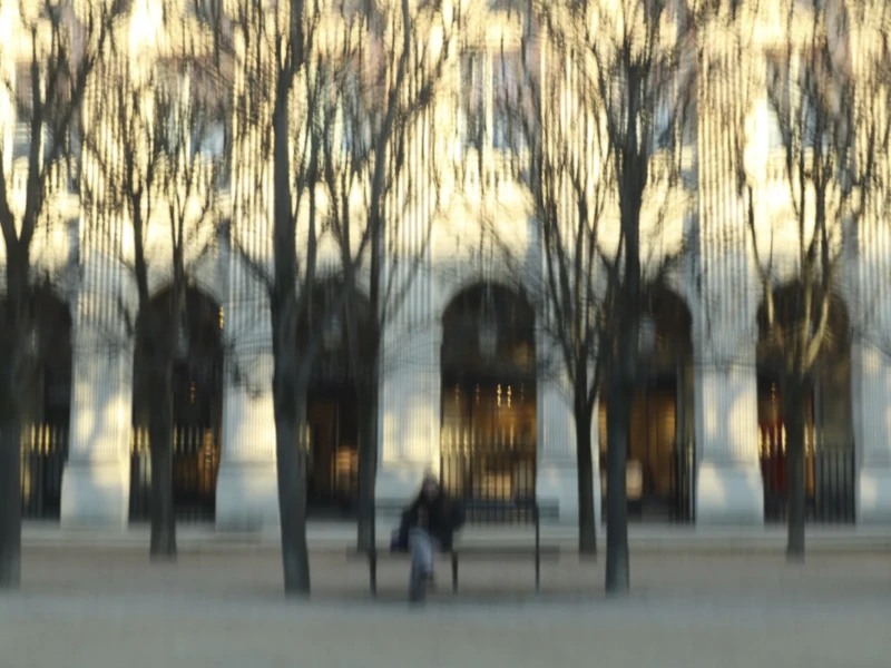 Palais Royal Personne accroupie dans un parc arboré avec des statues et des arbres dénudés, lumière douce en arrière-plan.