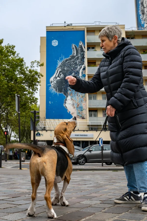 Antoine · 2362 x 3543 Cette photographie met en scène une femme tenant deux chiens en laisse. Le sujet principal est cette interaction entre la personne et les animaux.La composition montre un cadrage serré sur les chiens et la personne, avec un arrière-plan urbain incluant un immeuble et une fresque murale. La lumière est naturelle, légèrement voilée, créant une ambiance douce et sobre. Les couleurs dominantes sont les tons neutres (gris, beige) des vêtements et des chiens, contrastés par les bleus de la fresque et les verts des arbres. Le style est documentaire et réaliste, évoquant une scène du quotidien. L’ambiance est calme et apaisante.