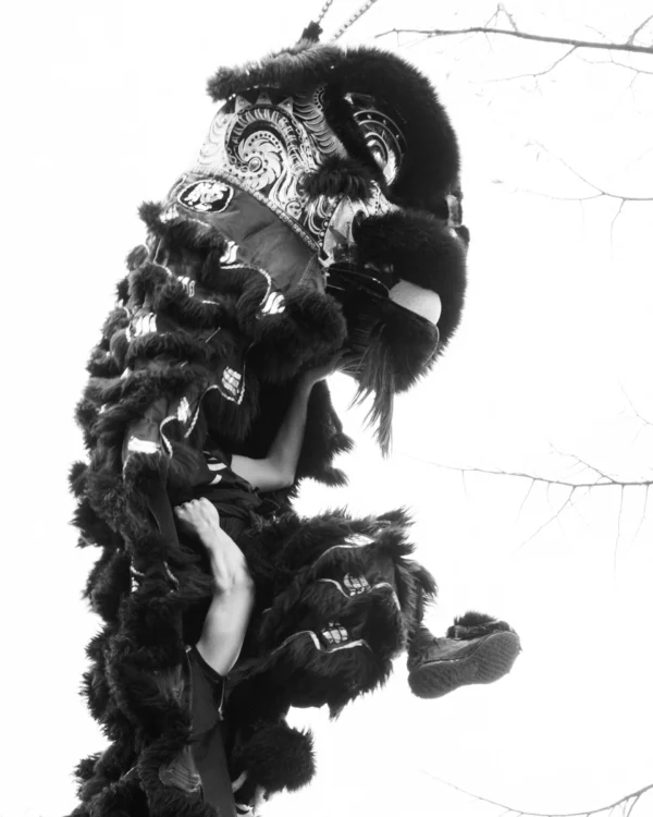 Alice · 01/03/2026 · 3969 x 4961 Cette photographie met en scène un personnage vêtu d’un masque et d’un costume effrayant, évoquant une créature monstrueuse ou un esprit. Le sujet principal est centré, avec un cadrage serré qui accentue les détails menaçants du masque et des éléments du costume, comme les plumes et les textures sombres.La lumière, contrastée, crée des ombres marquées, renforçant l’aspect dramatique. En noir et blanc, les tons dominants varient du blanc pur aux noirs profonds, accentuant le côté mystique et inquiétant. Le style rappelle les traditions folkloriques ou les masques rituels, instillant une ambiance à la fois mystérieuse et angoissante.