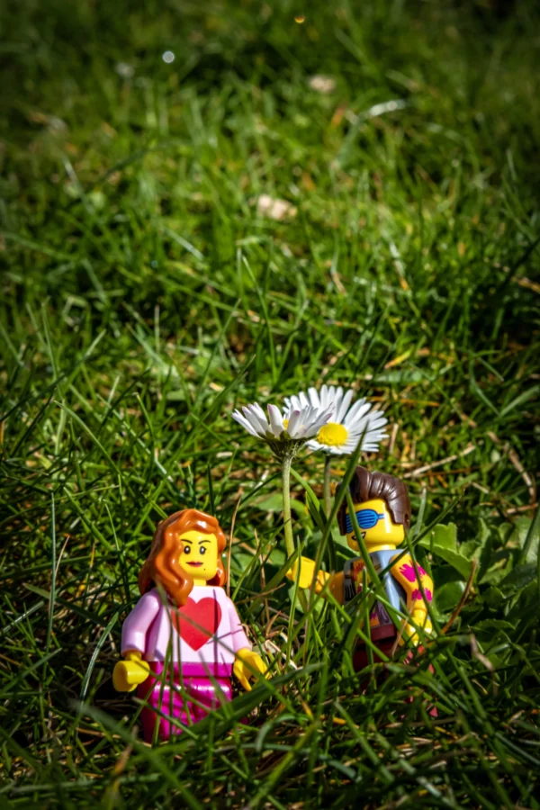 AnJo Beckers · 14/03/2026 · 3098 x 4647 Cette photographie met en scène deux petites figurines Lego habillées de manière colorée, posées sur un tapis d'herbe verte. Le sujet principal est ces figurines, entourées d'une petite fleur blanche.La composition est simple et symétrique, avec un cadrage serré qui isole les figurines. La lumière naturelle, douce et légèrement tamisée, met en valeur les couleurs vives des vêtements des figurines. Les teintes dominantes sont le vert de l'herbe, les couleurs vives des tenues (rose, jaune, vert) et le blanc de la fleur.Le style est épuré et ludique, évoquant une ambiance joyeuse et enfantine.