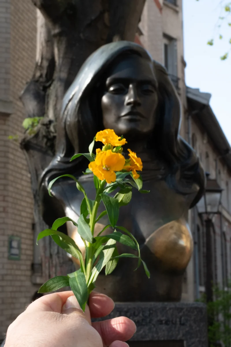 Jean-Marc · 21/03/2026 · 2607 x 3910 Cette photographie met en scène une main tenant une fleur jaune, probablement un coquelicot, devant une statue féminine en bronze. Le sujet principal est le contraste entre la vivacité de la fleur et la patine sombre de la statue.La composition joue sur le cadrage serré, isolant la fleur et une partie du visage de la statue. La lumière naturelle éclaire la scène, créant des ombres douces et mettant en valeur les détails. Les couleurs dominantes sont les tons chauds de la fleur jaune et les teintes froides du bronze.L’ambiance est à la fois poétique et mélancolique, évoquant la fragilité de la vie face à la permanence des monuments.