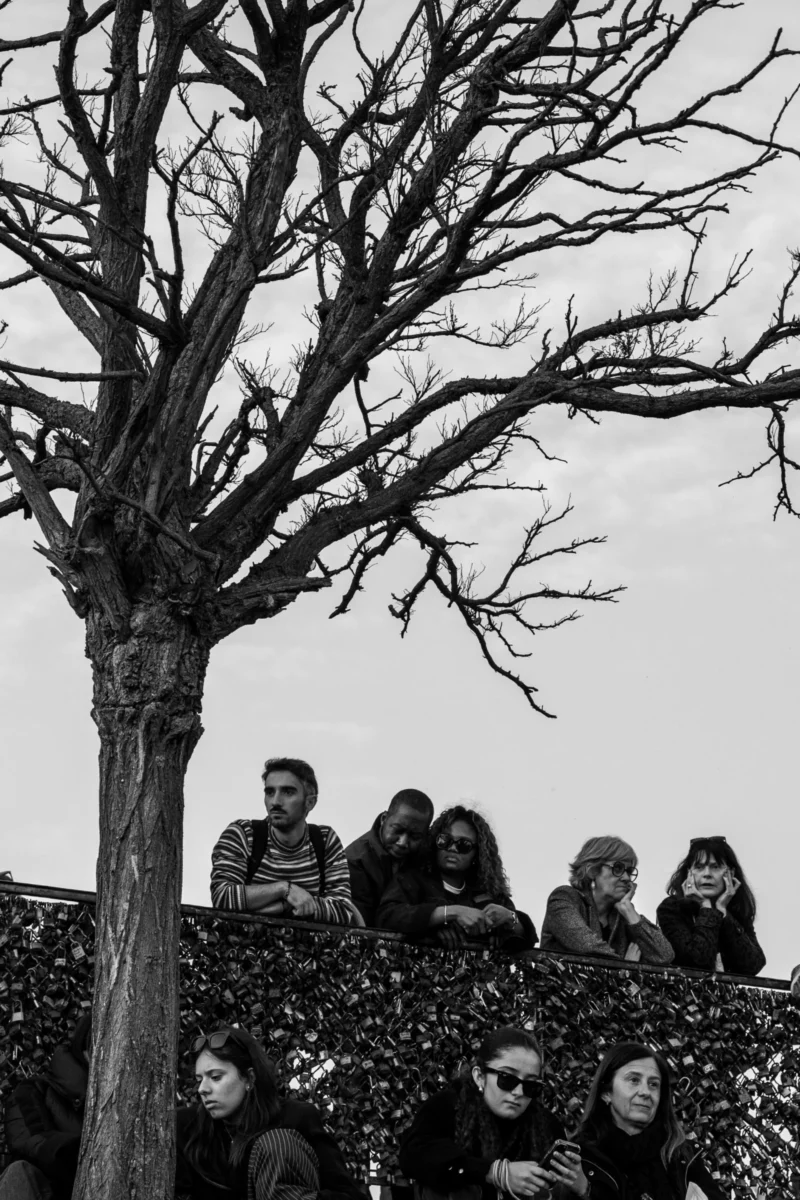 Daniel · 21/03/2026 · 2685 x 4027 Cette photographie en noir et blanc capture un groupe de personnes assises sur un mur sous un arbre sans feuilles. Le sujet principal est ce groupe, dont les visages sont partiellement visibles, créant une ambiance intimiste et contemplative. La composition est verticale, avec un cadrage serré sur les individus et l’arbre dominant l’arrière-plan.La lumière semble naturelle, douce mais contrastée, accentuant les ombres et les détails. Les couleurs dominantes sont les nuances de gris, renforçant l’aspect dramatique et mélancolique. Le style est documentaire et sobre, évoquant une ambiance calme et presque introspective.