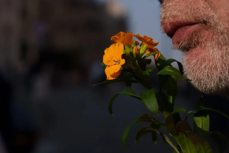 Don · 21/03/2026 · 1536 x 1024 Cette photographie met en scène un **visage flou** (probablement un homme à la barbe grisonnante) qui semble **renifler une fleur orange**. Le **sujet principal** est la fleur, en gros plan, avec des pétales délicats et des nuances de jaune et d’orange.La **composition** est simple et centrée, avec un **cadrage serré** sur la fleur et le visage partiellement visible. La **lumière** est douce et naturelle, créant une ambiance chaleureuse et presque nostalgique. Les **couleurs dominantes** sont les tons chauds (orange, jaune), contrastant avec le fond flou et bleuâtre. Le style est **poétique et intimiste**, évoquant la fragilité et la beauté éphémère.