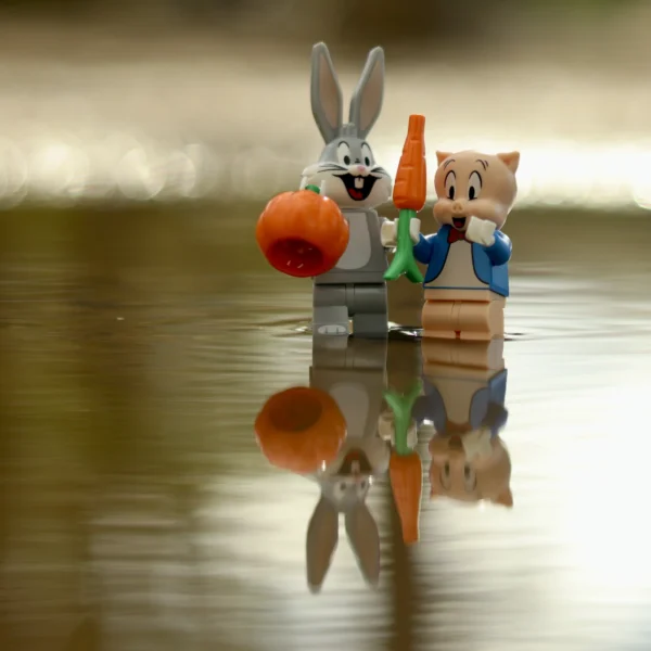 Françoise Mettais · 14/03/2026 · 3375 x 3375 Cette photographie met en scène deux figurines de style cartoon, un lapin et un personnage anthropomorphe tenant une carotte et un ballon. La composition est symétrique, avec une réflexion parfaite dans l’eau, créant un effet miroir. Le cadrage est serré, centré sur les figurines.La lumière est douce et naturelle, avec des teintes pastel. Les couleurs dominantes sont les tons bleus, verts et oranges. L’ambiance est poétique et légèrement nostalgique, évoquant une scène ludique et onirique.