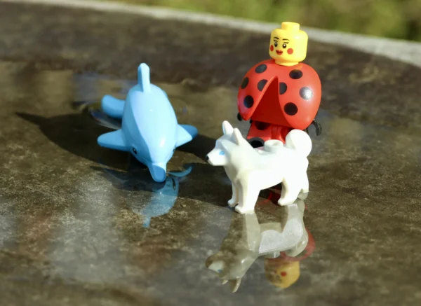 Françoise Mettais · 14/03/2026 · 5367 x 3907 Cette photographie met en scène deux figurines miniatures : un cheval blanc et une licorne bleue, accompagnés d’un personnage en forme de coccinelle rouge à chapeau jaune.La composition est simple et symétrique, avec les figurines placées sur une surface lisse et réfléchissante. Le cadrage est serré, mettant l’accent sur les détails des jouets. La lumière naturelle, douce et légèrement rasante, crée des ombres marquées et un effet de transparence sur la surface.Les couleurs dominantes sont vives : rouge, bleu et blanc. Le style est épuré et ludique, évoquant une ambiance fantastique et poétique.
