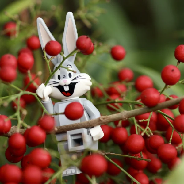 Françoise Mettais · 14/03/2026 · 3897 x 3897 Cette photographie met en scène un figurine Lego représentant Bugs Bunny, sujet principal. La composition montre le lapin accroché à une branche garnie de baies rouges. Le cadrage est serré, centré sur le personnage et les baies, créant un effet de proximité.La lumière est naturelle et douce, mettant en valeur les détails. Les couleurs dominantes sont le blanc (Lego), le rouge vif des baies et le vert des feuilles. Le style est humoristique et ludique, évoquant une ambiance joyeuse et fantaisiste, mêlant univers cartoonesque et nature.