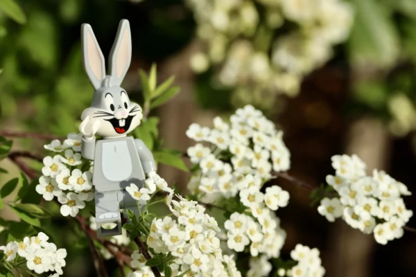 Françoise Mettais · 14/03/2026 · 6000 x 4000 Cette photographie met en scène un petit lapin en plastique blanc, souriant, posé sur une branche. Le sujet principal est net et centré, avec un cadrage serré qui isole le lapin parmi des fleurs blanches floues en arrière-plan.La lumière douce et naturelle crée une ambiance lumineuse et douce. Les couleurs dominantes sont le blanc des fleurs et du lapin, avec des touches de vert plus discrètes. Le style est simple et épuré, évoquant une touche poétique et ludique, renforcée par le contraste entre le jouet et la nature.