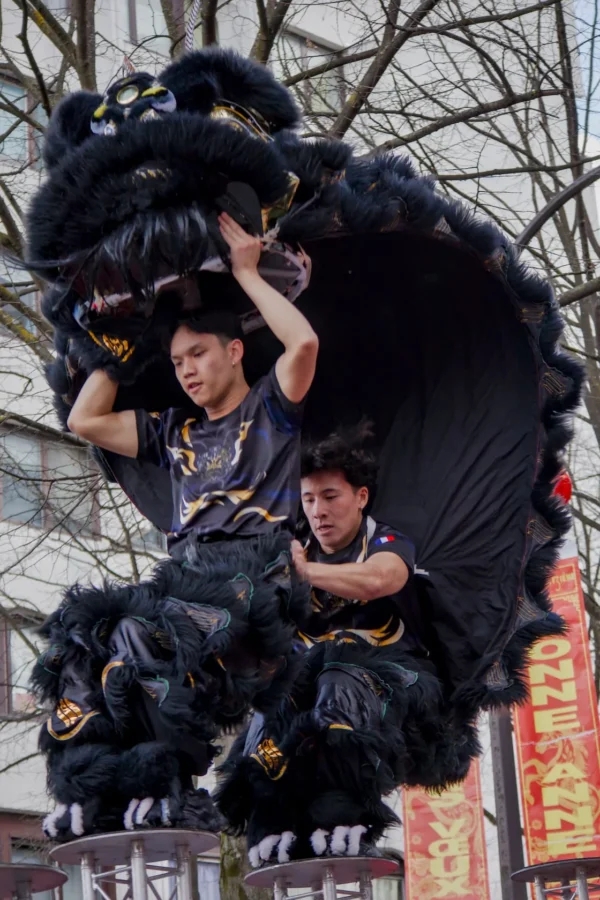 Frédéric · 1120 x 1680 Cette photographie montre deux personnes manipulant une immense marionnette de dragon noir, typique des défilés asiatiques. Le sujet principal est le dragon, imposant et détaillé, avec des éléments dorés.La composition met en valeur les performers sous le dragon, créant un effet de mouvement et de dynamisme. Le cadrage est serré, centré sur les participants et la tête du dragon.La lumière semble naturelle, bien répartie, mettant en relief les contours. Les couleurs dominantes sont le noir du dragon et les touches dorées, dans un style traditionnel et festif. L’ambiance est vibrante et culturelle, évoquant une célébration.