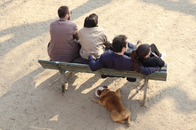Camilla · 21/03/2026 · 6000 x 4000 Cette photographie montre un groupe de quatre personnes assises sur un banc, dos à l'objectif, avec un chien allongé devant elles. La composition est simple et symétrique, avec un cadrage serré sur le banc et les individus.La lumière semble naturelle, douce et légèrement tamisée, créant des ombres discrètes. Les couleurs dominantes sont les tons neutres : gris du banc, beige du sol, et les vêtements sombres des personnes. Une touche de brun clair est apportée par le chien.Le style est documentaire et sobre, évoquant une ambiance calme et détendue, presque intime.
