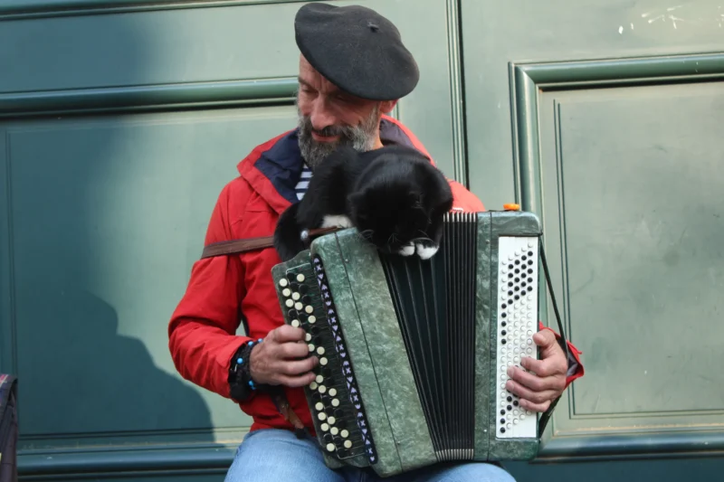 Roberta · 21/03/2026 · 6000 x 4000 Cette photographie montre un homme jouant de l’accordéon, sujet principal central. Il est entouré d’un chien noir. La composition est serrée, mettant en valeur le musicien et son instrument. Le cadrage est rapproché, captant une ambiance intime et spontanée.La lumière semble naturelle, légèrement tamisée, créant des ombres douces. Les couleurs dominantes sont les tons chauds (rouge du manteau) et les teintes froides (vert de l’accordéon, gris du fond).Le style est documentaire, évoquant une scène de rue authentique et chaleureuse. L’ambiance est conviviale et émouvante.