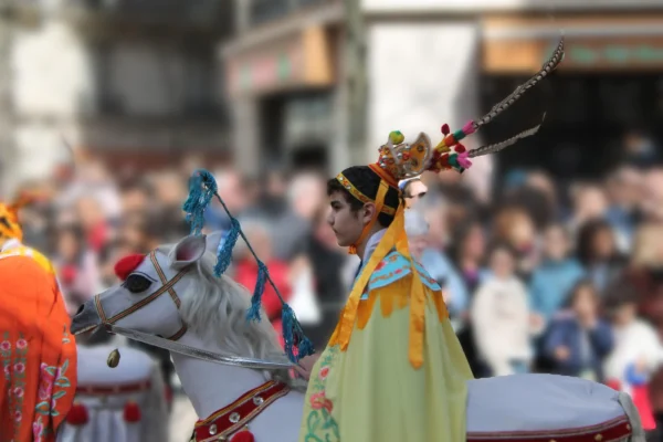 Sophie · 22/07/2025 · 4272 x 2848 Cette photographie capture une scène de défilé traditionnel. Le sujet principal est une personne vêtue d’un costume coloré, avec une coiffe ornée de plumes et des éléments dorés, montée sur un cheval décoré. La composition met en avant cette figure centrale, légèrement floue en arrière-plan, avec une foule en mouvement.Le cadrage est serré, centré sur le personnage. La lumière semble naturelle, bien répartie, mettant en valeur les couleurs vives : jaune, vert, bleu et rouge. L’ambiance est festive et culturelle, évoquant une célébration traditionnelle ou folklorique.