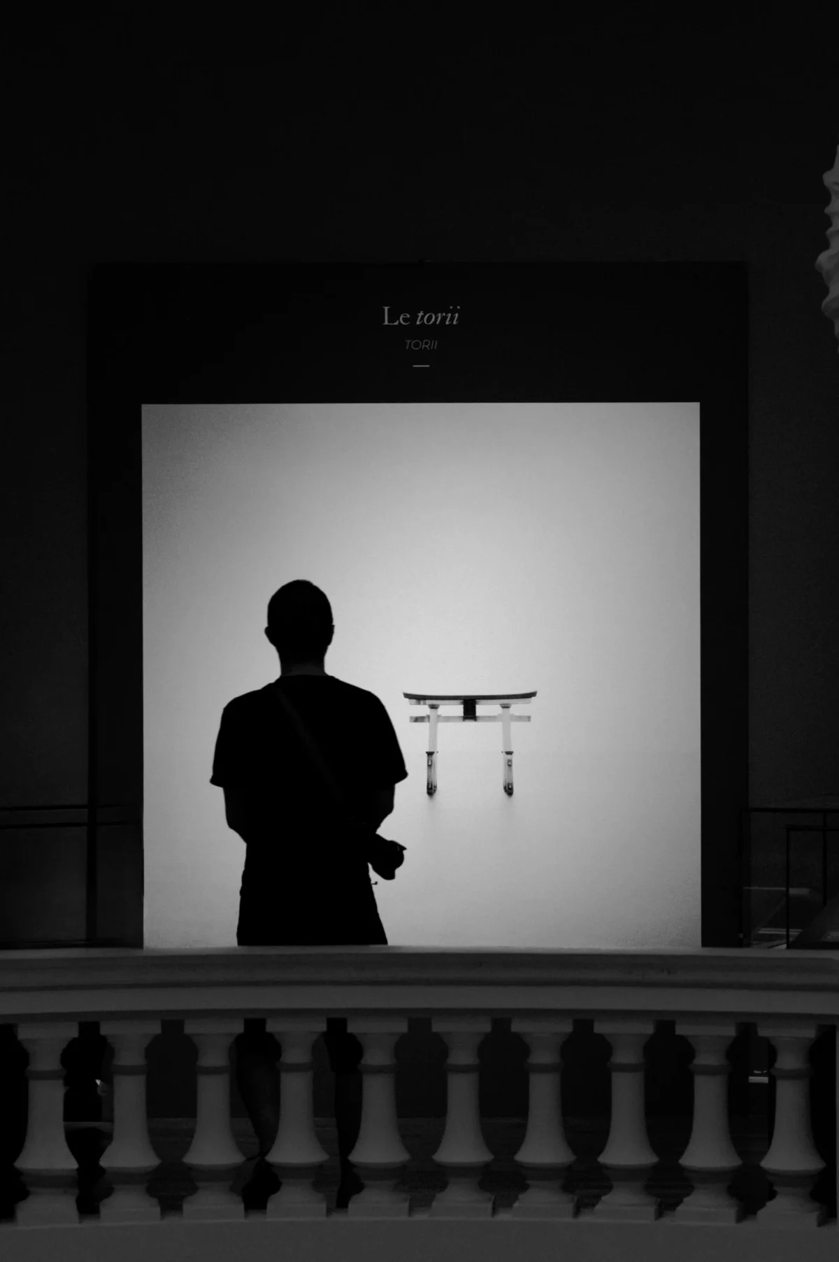 Thomas · 07/09/2025 · 2724 x 4096 Cette photographie en noir et blanc met en scène un homme en silhouette devant une scène. Le sujet principal est le contraste entre sa silhouette et un objet volant suspendu (un drone ou un appareil similaire) en arrière-plan.La composition utilise un cadrage serré avec un jeu de lumière dramatique, créant un effet de profondeur et de mystère. Les couleurs dominantes sont les nuances de gris, renforçant l’ambiance théâtrale et contemplative. Le style est artistique et évocateur, évoquant une atmosphère à la fois moderne et intemporelle, mêlant technologie et émotion.