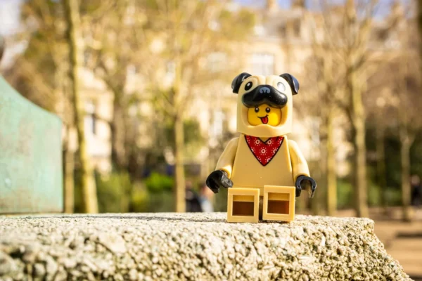 Laurence Givry · 14/03/2026 · 1350 x 900 Cette photographie met en scène un petit personnage en Lego représentant un chien avec un nœud papillon rouge. Le sujet principal est net et centré, posé sur une surface rocheuse.La composition est simple et épurée, avec un arrière-plan flou de végétation et de branches, créant un effet de profondeur. Le cadrage est serré sur le personnage.La lumière naturelle est douce, apportant des ombres légères. Les couleurs dominantes sont les tons beiges et verts, avec des touches de rouge et de noir.Le style est minimaliste et ludique, évoquant une ambiance joyeuse et décontractée.